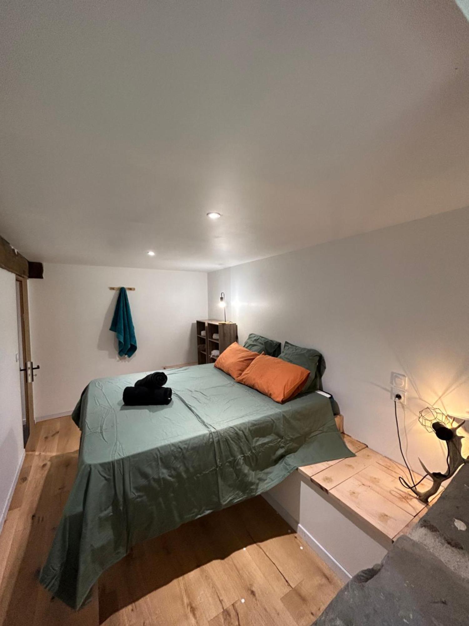 Salles-et-Pratviel Chalet Maelouヴィラ エクステリア 写真